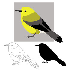 Wall Mural - prothonotary warbler ,vector illustration ,flat style ,lining draw