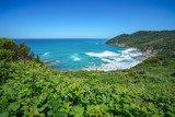 Fototapeta Do pokoju - hiking the great ocean walk in victoria, australia