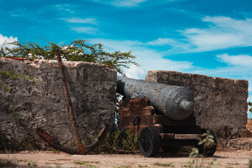 Wall Mural - Old vintage cannons and an anchor rusting away in the fort.