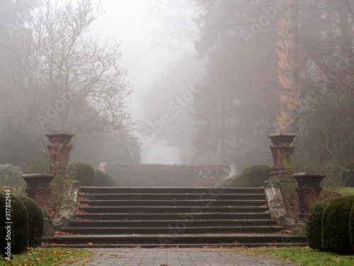Fotografía The old stairs in the park on a foggy autumn morning at the cemetery