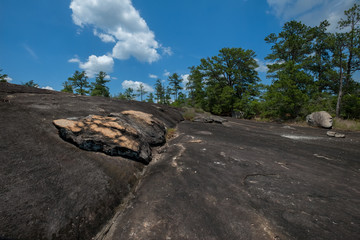 Wall Mural - Arabia Mountain, Georgia, USA	