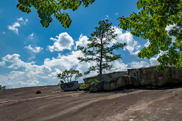 Wall Mural - Arabia Mountain, Georgia, USA	