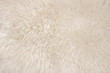 White real wool with beige top texture background. light cream natural sheep wool.  seamless plush cotton, texture of fluffy fur for designers