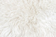 © Илья Подопригоров - White real wool with beige top texture background. light cream natural sheep wool.  seamless plush cotton, texture of fluffy fur for designers