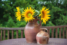 Beautiful Bouquet Of Blooming Sunflowers In Rustic Jug On Metalic Table Outdoors