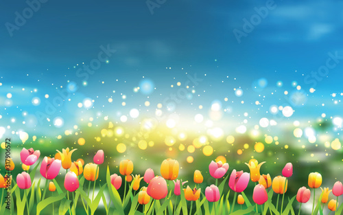 Dekoracja na wymiar  kolorowe-tulipany-w-ogrodzie