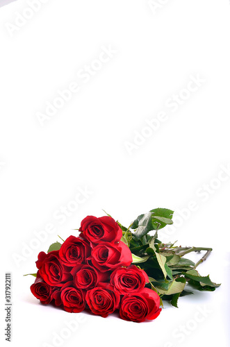 red roses on white background © chris