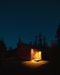 Vertical shot of an illuminated cabin in a forest surrounded by a lot of trees at night in Norway