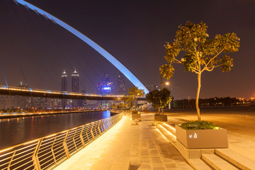 Wall Mural - Tolerance Bridge in Dubai city, night scene