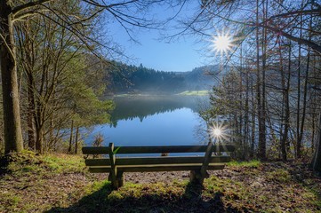 Poster - Wooden bench near a pond surrounded by trees at daytime