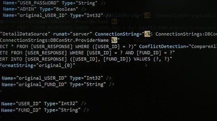 Web, application and software developement. Programming code on a monitor.