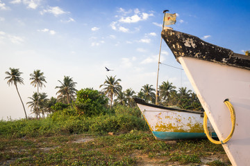 Old fishing boats standing on the seashore on the rainforest background. Amazing landscape of Indian seacoast.