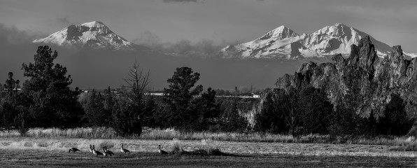 Wall Mural - Mountain Peak Panorama - Oregon