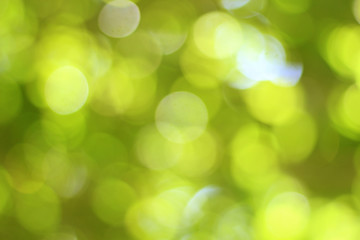 Sticker - natural yellow and green bokeh background