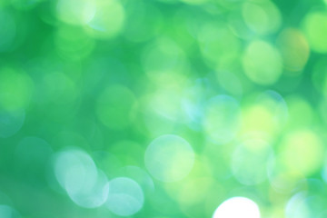 Poster - bokeh blur green beautiful background