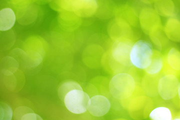 Sticker - bokeh yellow green blurred background