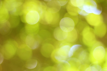 Sticker - beautiful natural yellow green bokeh background