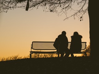 Wall Mural - silhouette of two people sitting on a bench under a tree during a sunset