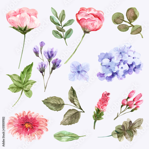 Bouquet of flowers and butterflies for use in designing