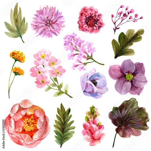Lovely bouquet for use in design.