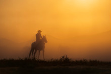 Silhouette Man Riding Horse On Field Against Sky During Sunset