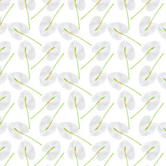 Wall Mural - Pattern of a white flower on a white background.