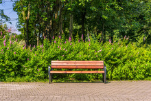 The Empty Bench In The Park At Sunny Day