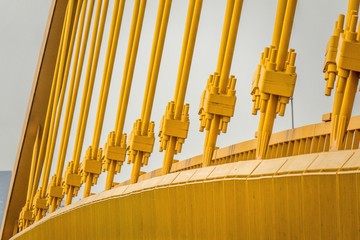 Poster - Closeup shot of yellow metals next to each other attached to a larger piece