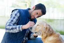 Vet Cleaning Dog #39 s Teeth Free Stock Photo Public Domain Pictures Vet Cleaning Dog #39 s Teeth Free Stock Photo Public Domain Pictures