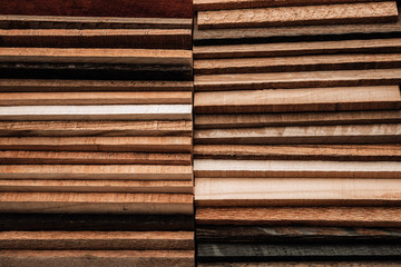Wall Mural - Set of exotic valuable wood for the catalog, texture and structure of the material