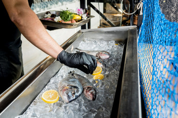 Wall Mural - Frozen see food on ice. Shrimps, fish and seashells. 