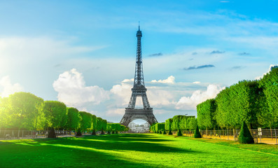 Wall Mural - champs de mars