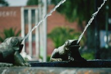 Water Flowing From Turtle Fountain Statue
