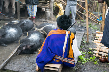 Myoko festival scenes at Ziro village, India