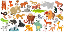 Set Of Funny Animals, Birds And Reptiles From All Over The World. World Fauna. Illustration