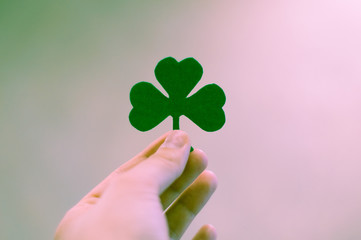 Wall Mural - Green clover leas in hand on blurred background, St. Patricks day holiday symbol