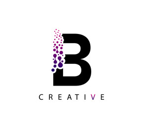 Abstract B Letter , Molecules B technology logo design.