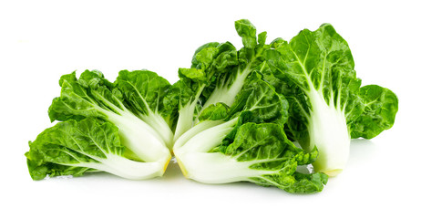 Wall Mural - fresh baby chinese cabbage on white background