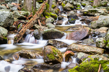 Sticker - Bridalveil Creek in Yosemite Valley, California