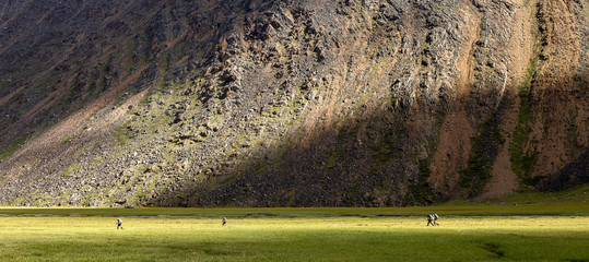 arctic backpackers 