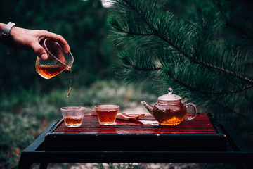 Process brewing Tea. Chinese ceremony. Shen Puer. Man hand