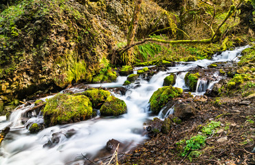 Sticker - Wahkeena Falls in the Columbia River Gorge, USA