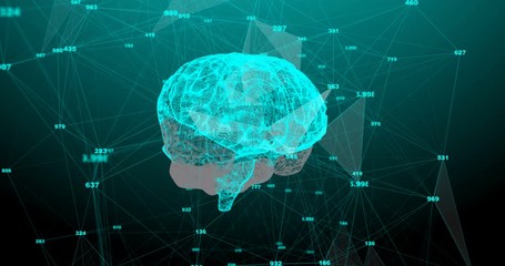 Poster - The human brain. Plexus with numbers. Beautiful background. The concept of science, medicine and business. Loop animation