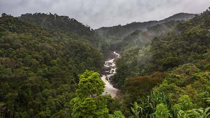 rain forest landscape, ranomafana, madagascar