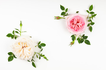 Canvas Print - Beautiful pink and white roses flowers with leaves