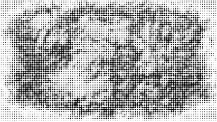 Wall Mural - halftone dotted background. halftone effect vector pattern. circle dots isolated on the white backgr