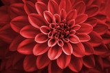160_f_318361725_msbbk4eho3df1zeicu4awoypsjoxgpsj