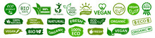 Organic Natural Bio Labels Set Icon, Healthy Foods Badges, Fresh Eco Vegetarian Food – Stock Vector