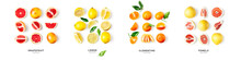 Different Citrus Fruits Composition And Creative Banner