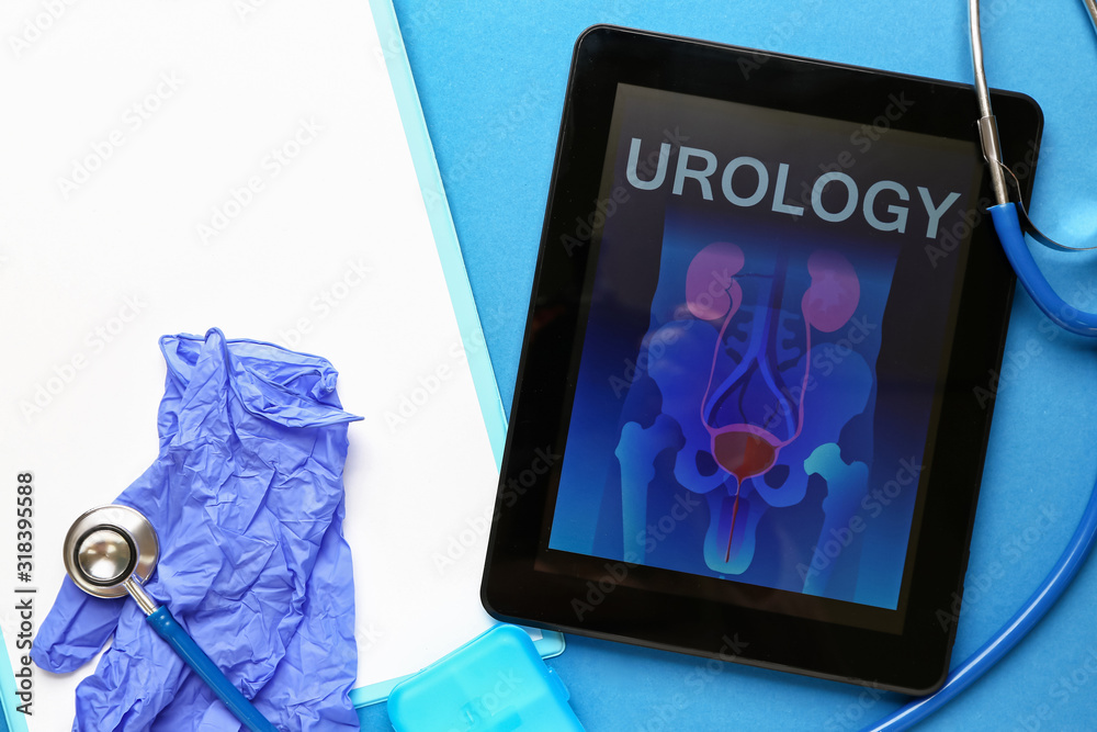 Urogential Device Tablet computer with picture of urogenital system on screen ...